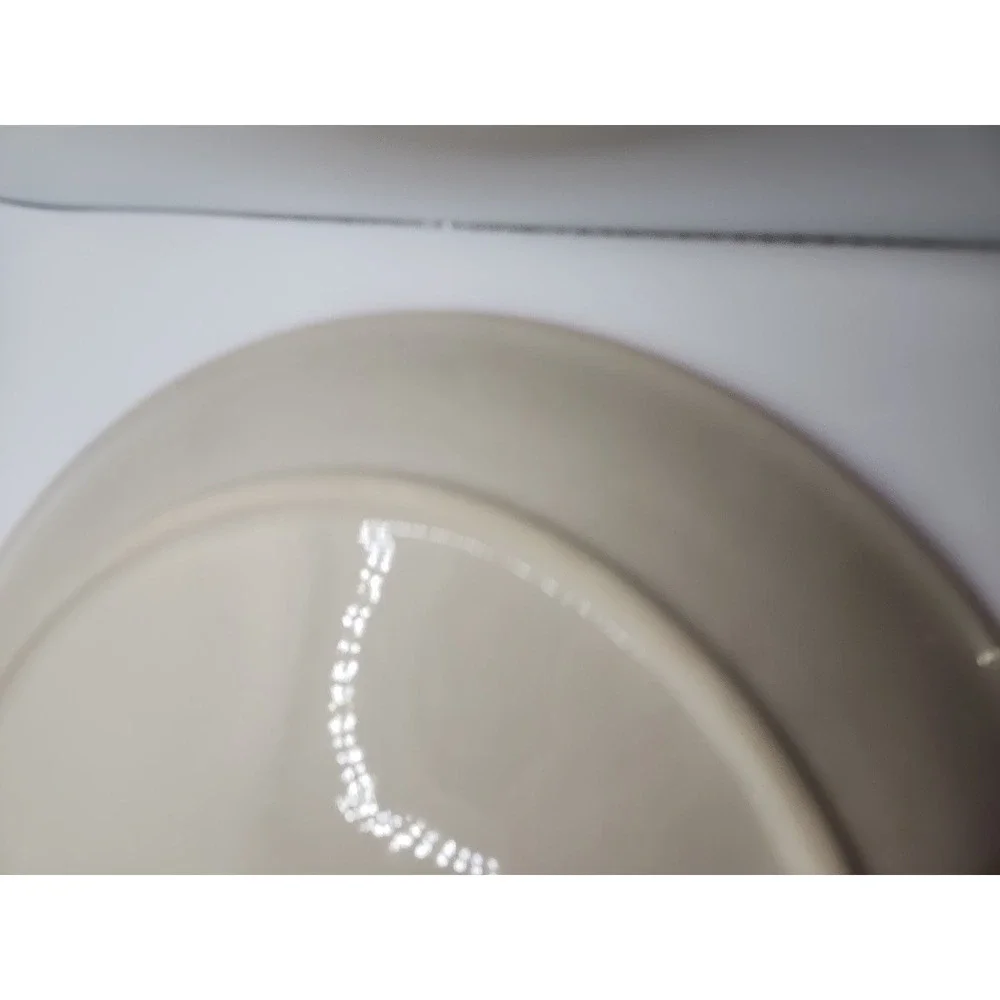 Temptations Floral Lace Dinner Plates -basket Weave PPP-HDL-956130